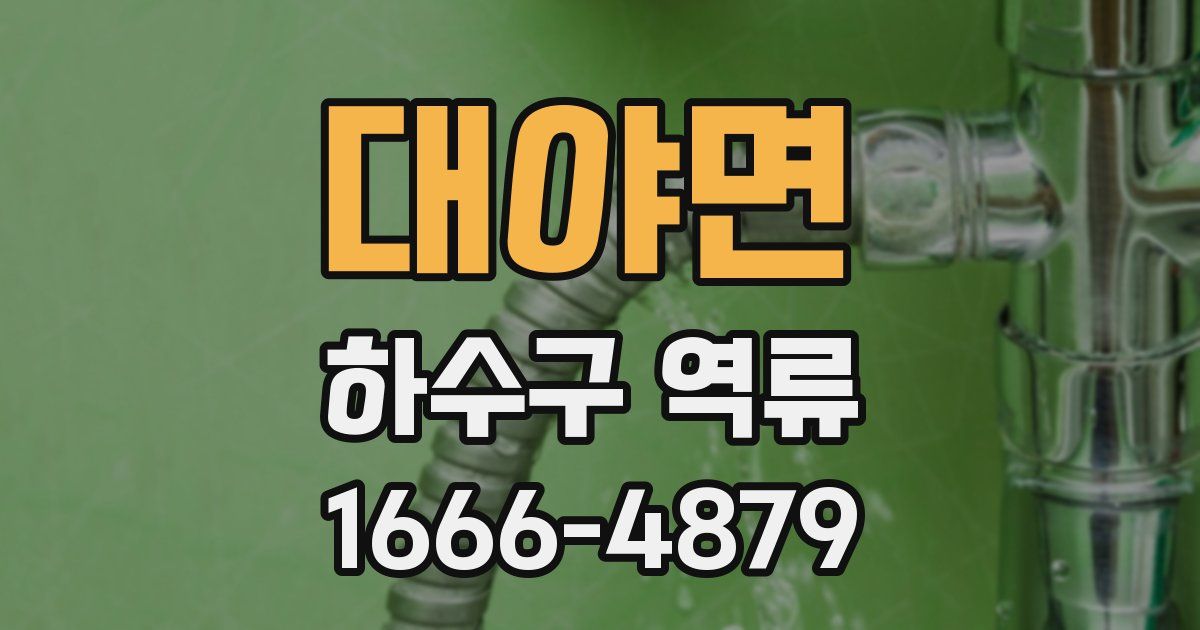 대야면 하수구 역류