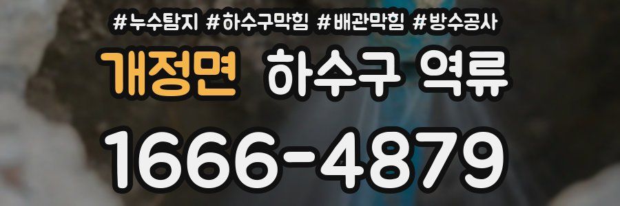 개정면 하수구 역류