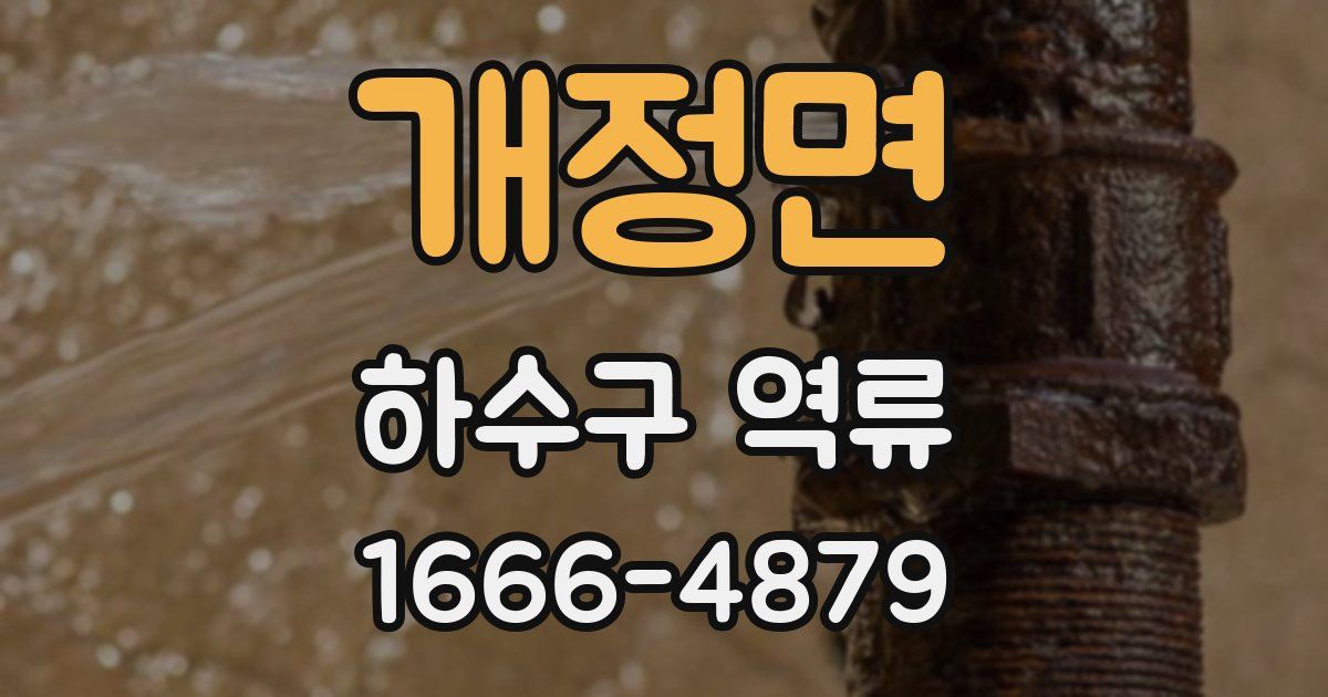 개정면 하수구 역류