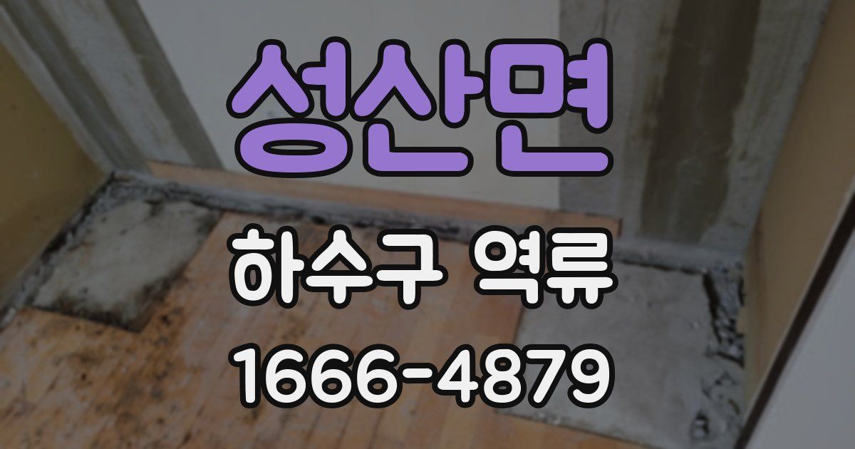 성산면 하수구 역류