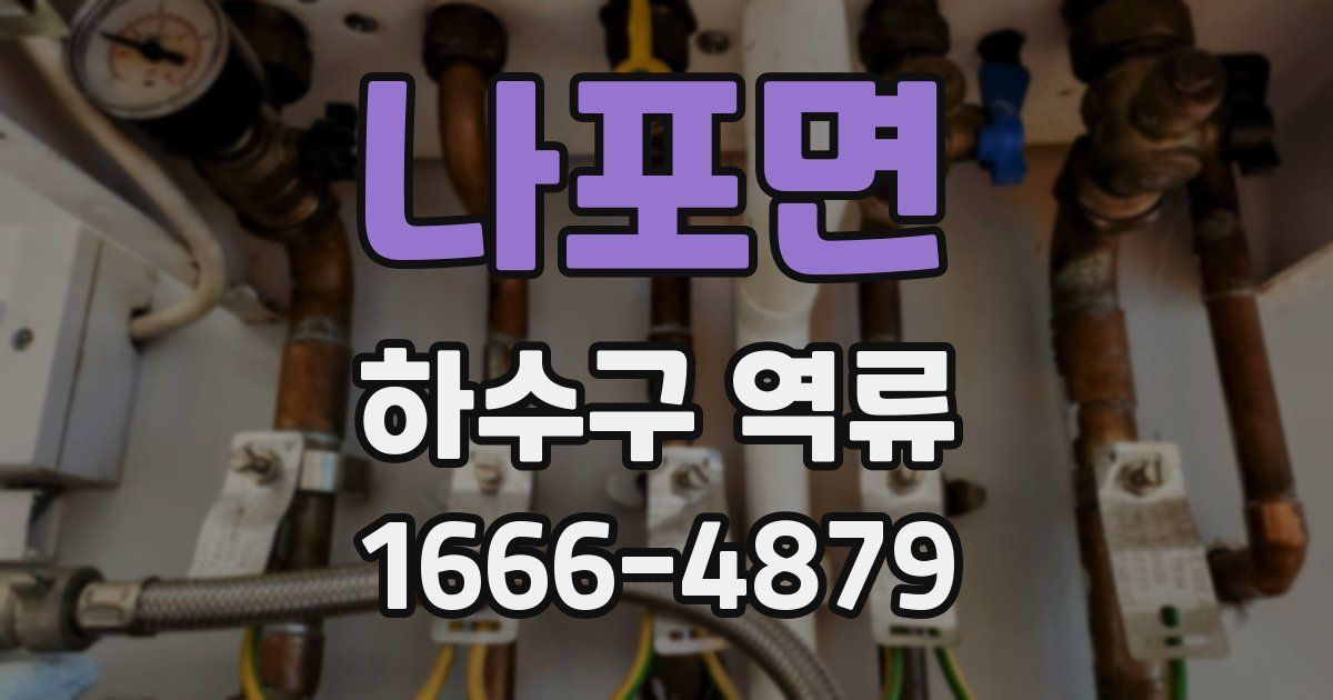 나포면 하수구 역류