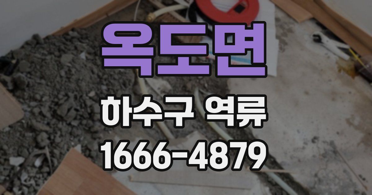 옥도면 하수구 역류