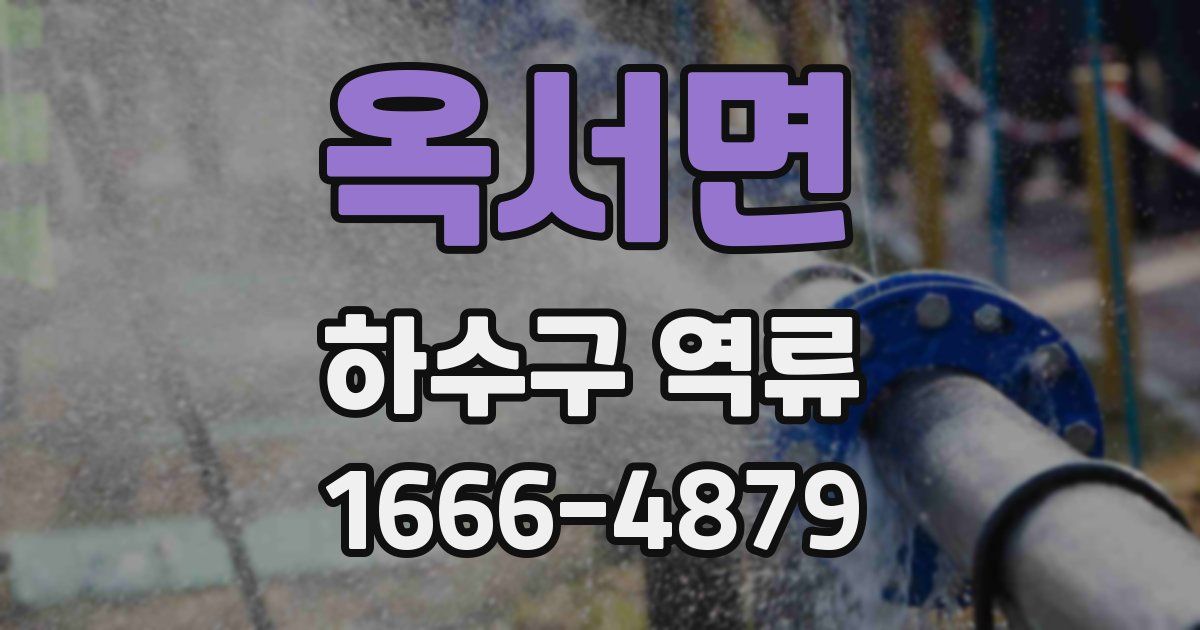 옥서면 하수구 역류