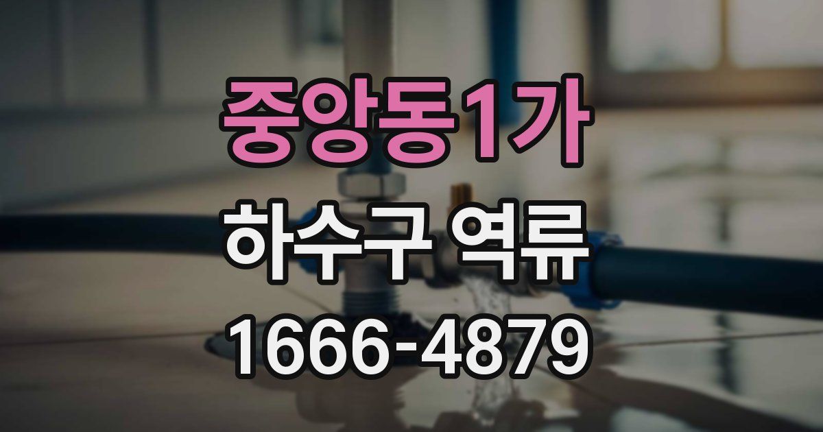 중앙동1가 하수구 역류