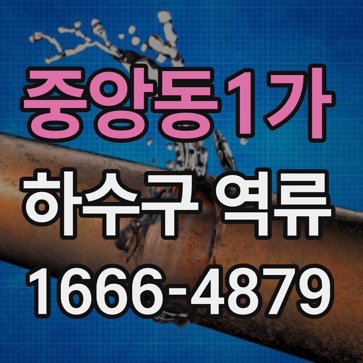 중앙동1가 하수구 역류