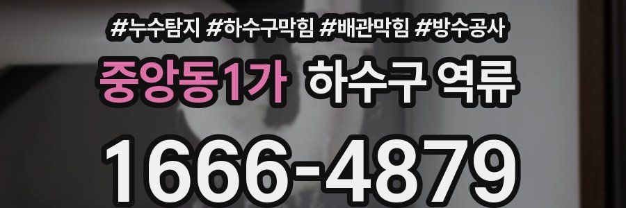 중앙동1가 하수구 역류