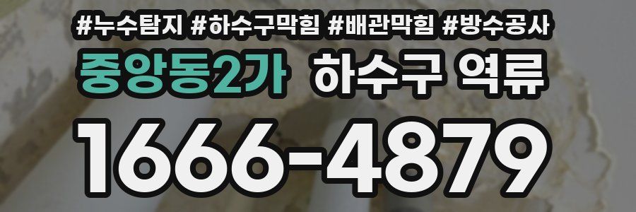 중앙동2가 하수구 역류