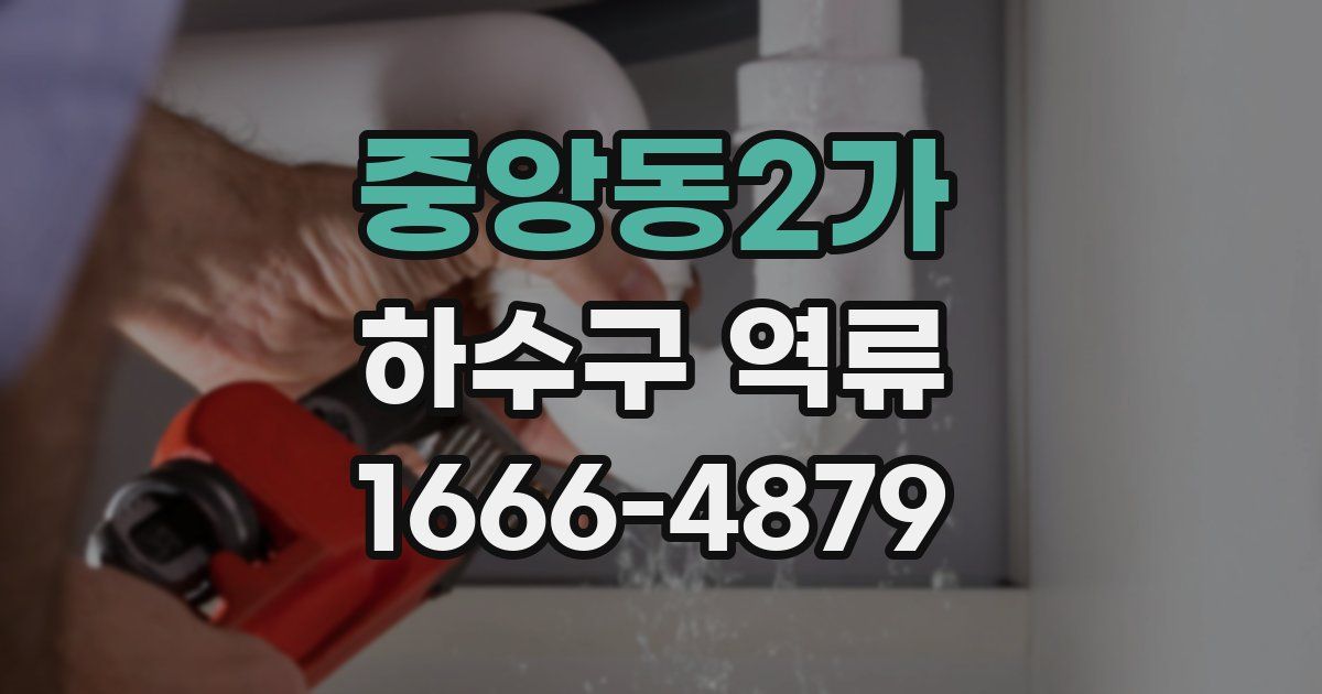중앙동2가 하수구 역류