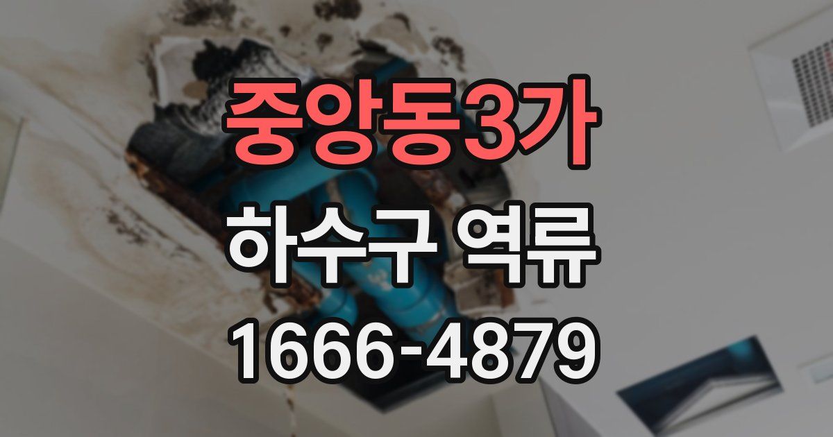 중앙동3가 하수구 역류