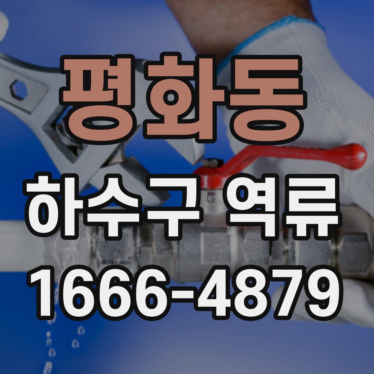 평화동 하수구 역류
