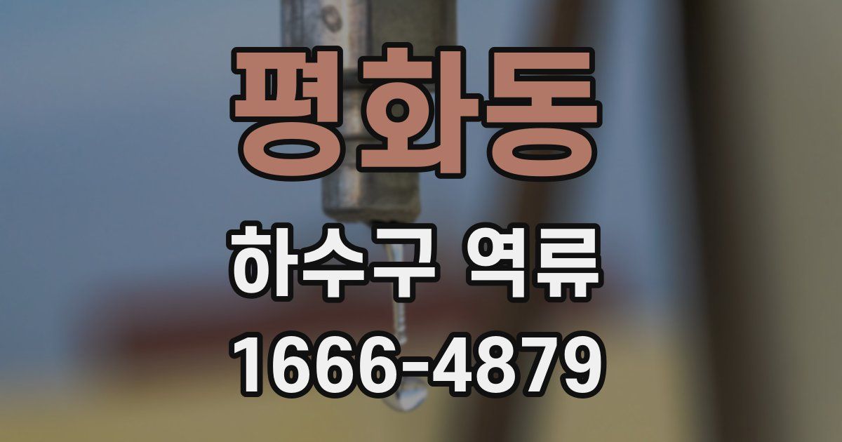 평화동 하수구 역류