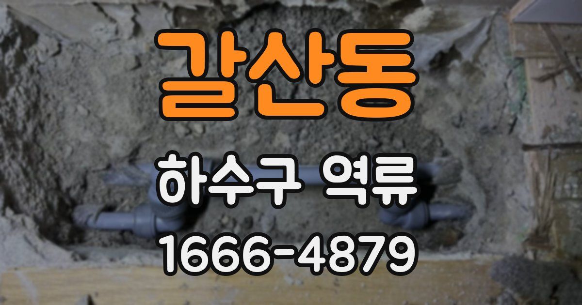 갈산동 하수구 역류