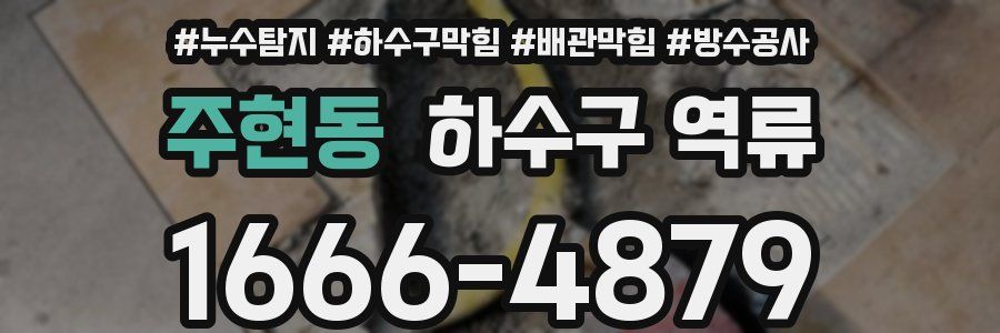 주현동 하수구 역류