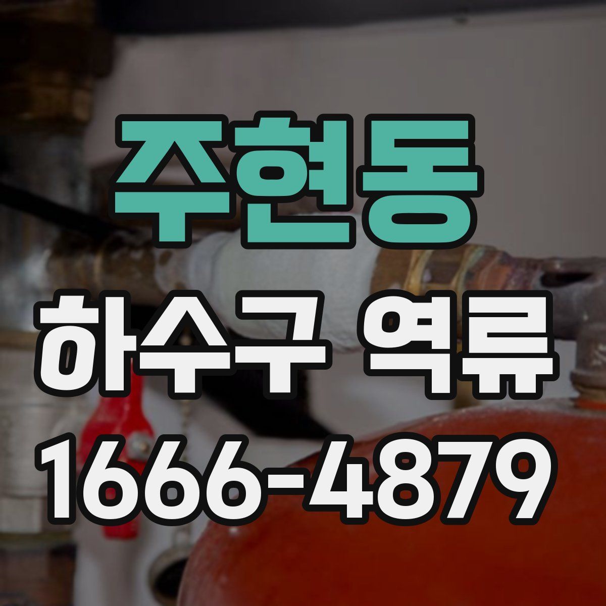 주현동 하수구 역류