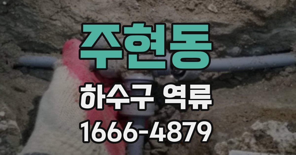 주현동 하수구 역류