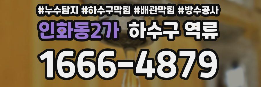인화동2가 하수구 역류