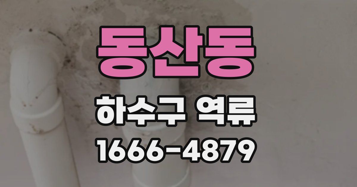 동산동 하수구 역류