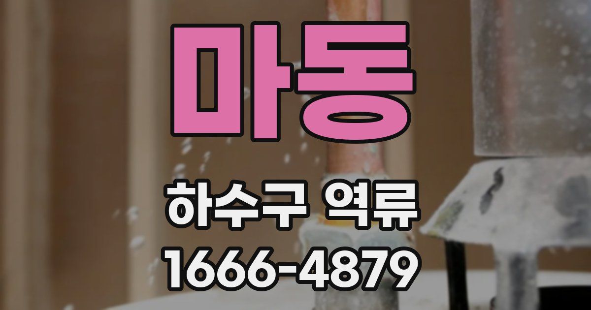 마동 하수구 역류