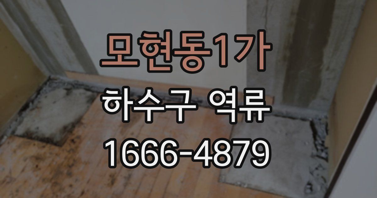 모현동1가 하수구 역류