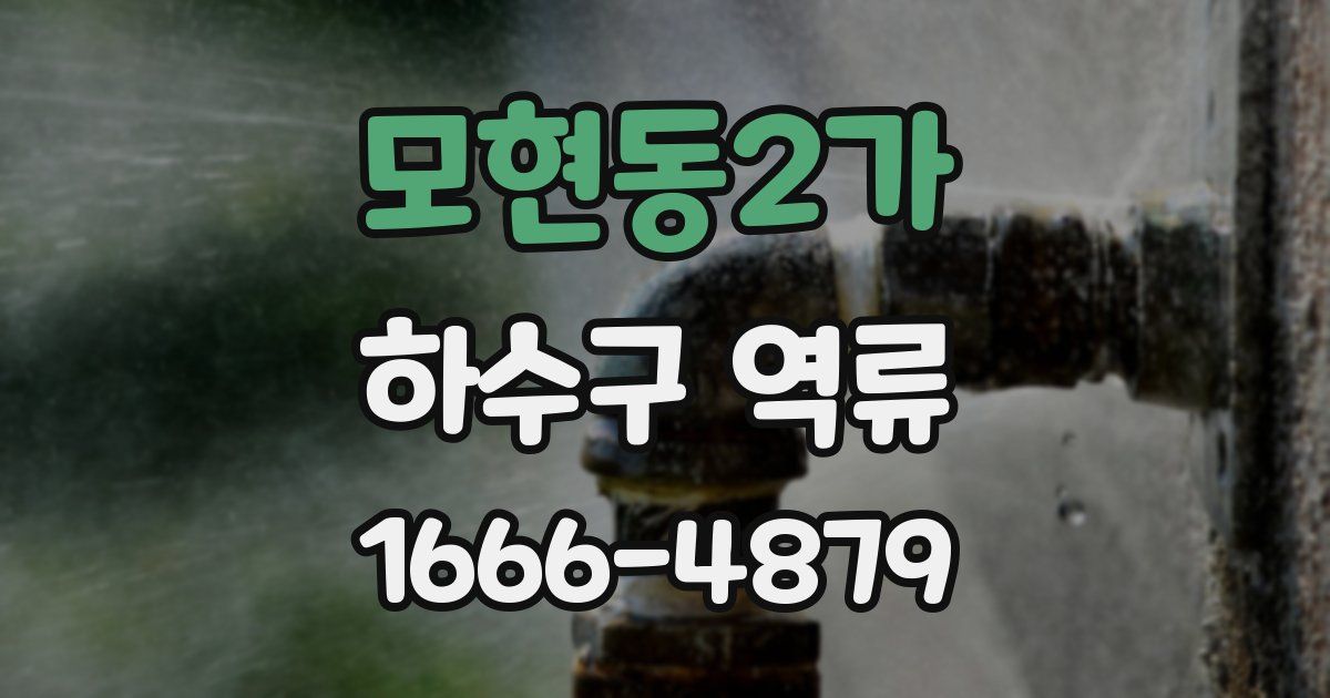 모현동2가 하수구 역류