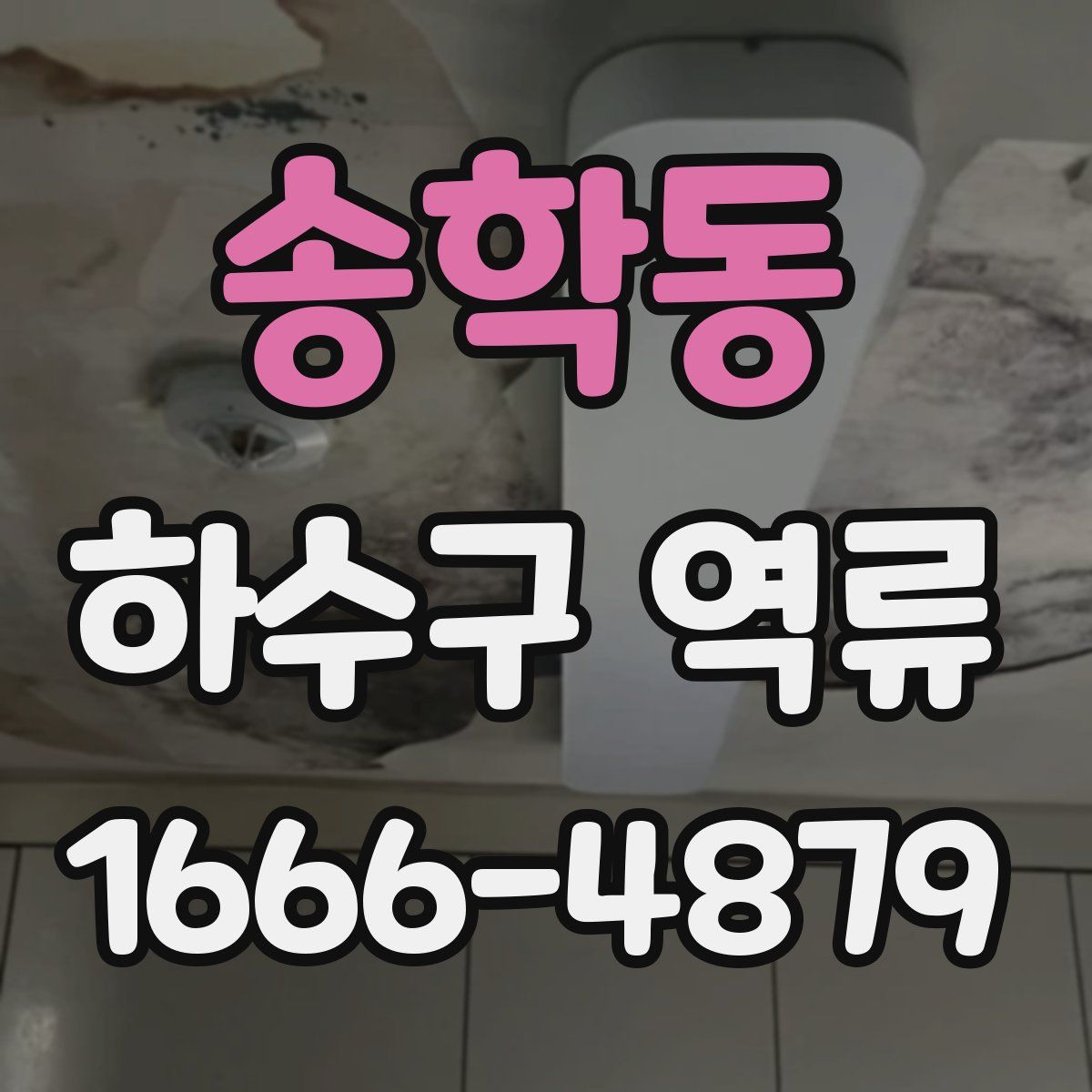 송학동 하수구 역류