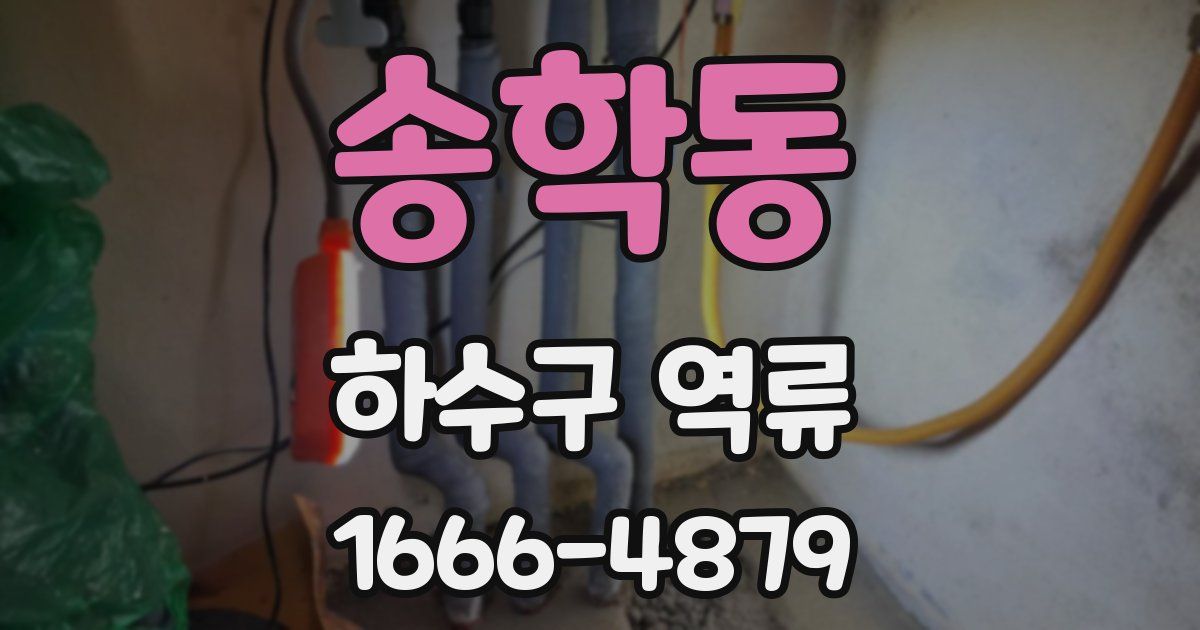 송학동 하수구 역류
