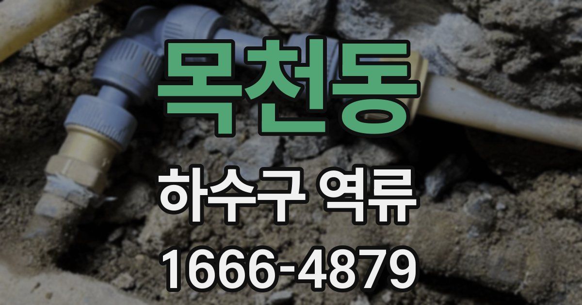 목천동 하수구 역류