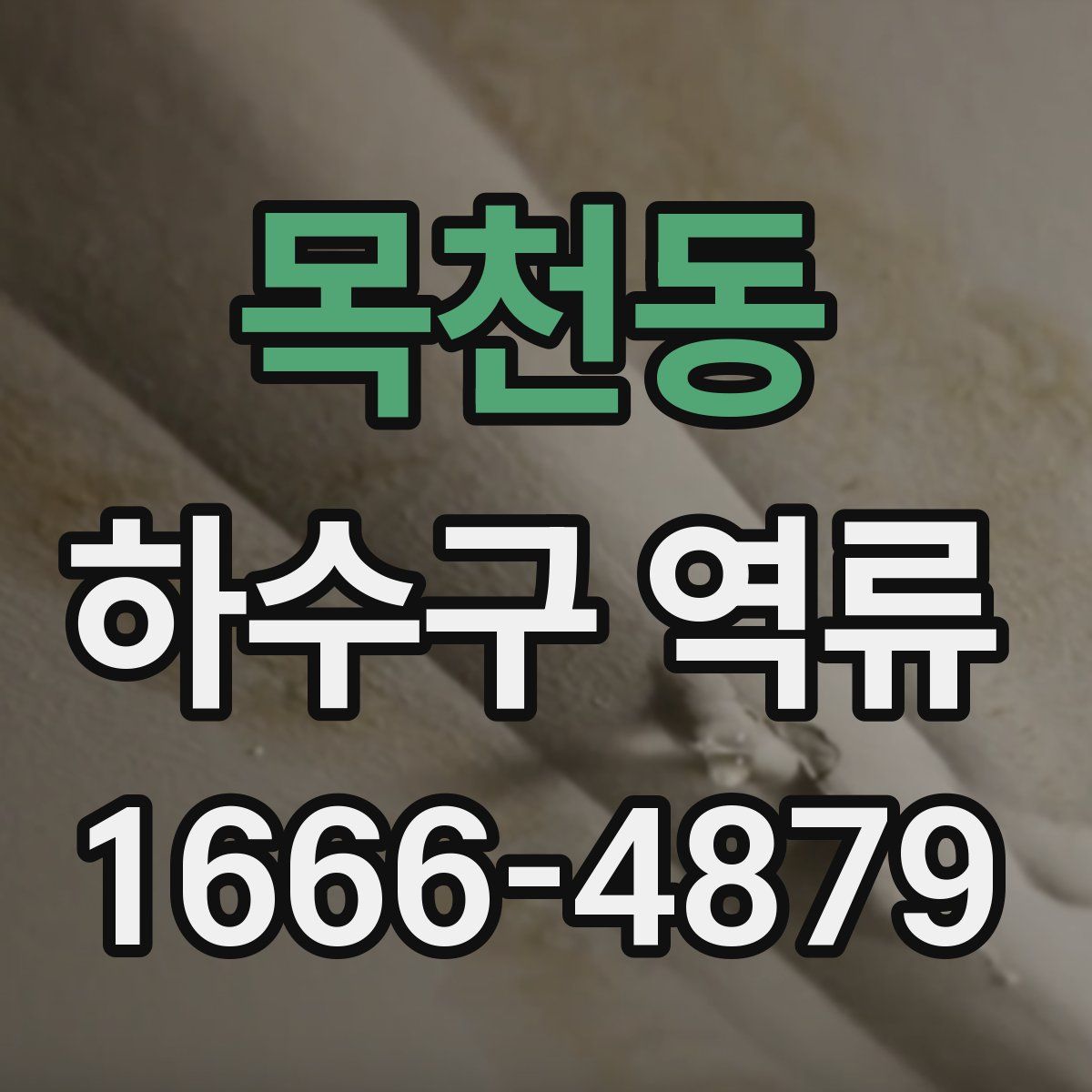 목천동 하수구 역류
