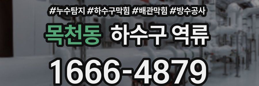 목천동 하수구 역류
