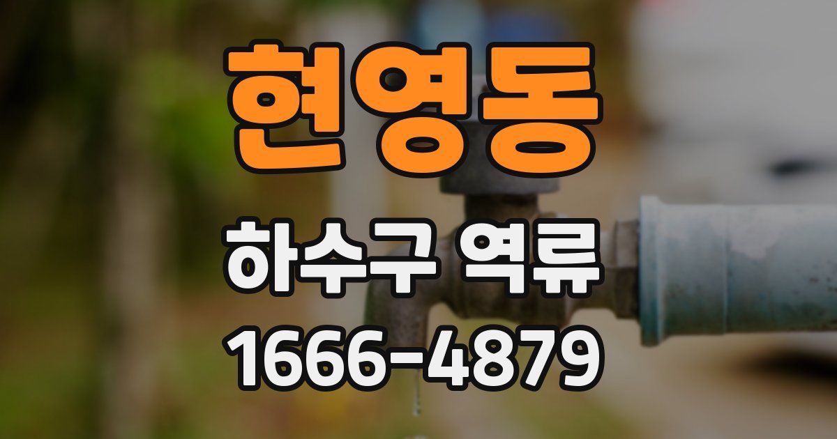 현영동 하수구 역류