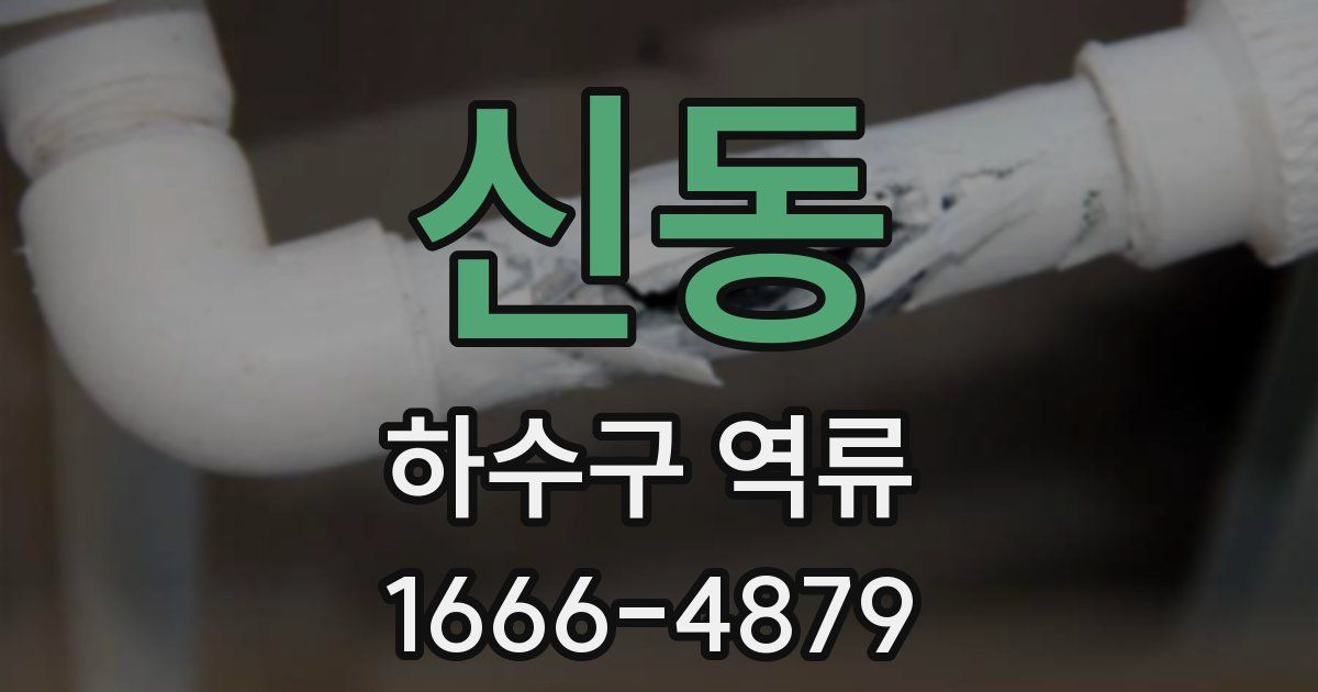 신동 하수구 역류