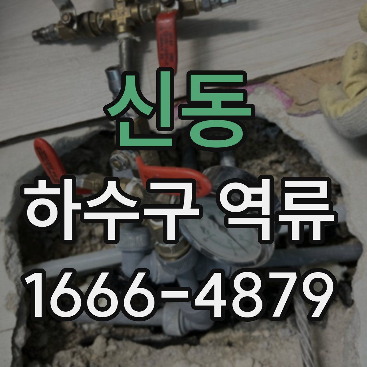 신동 하수구 역류
