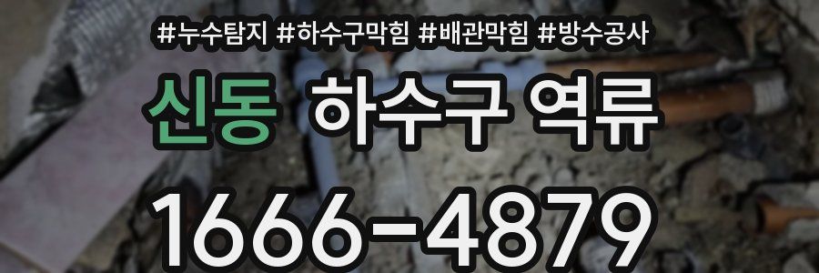 신동 하수구 역류