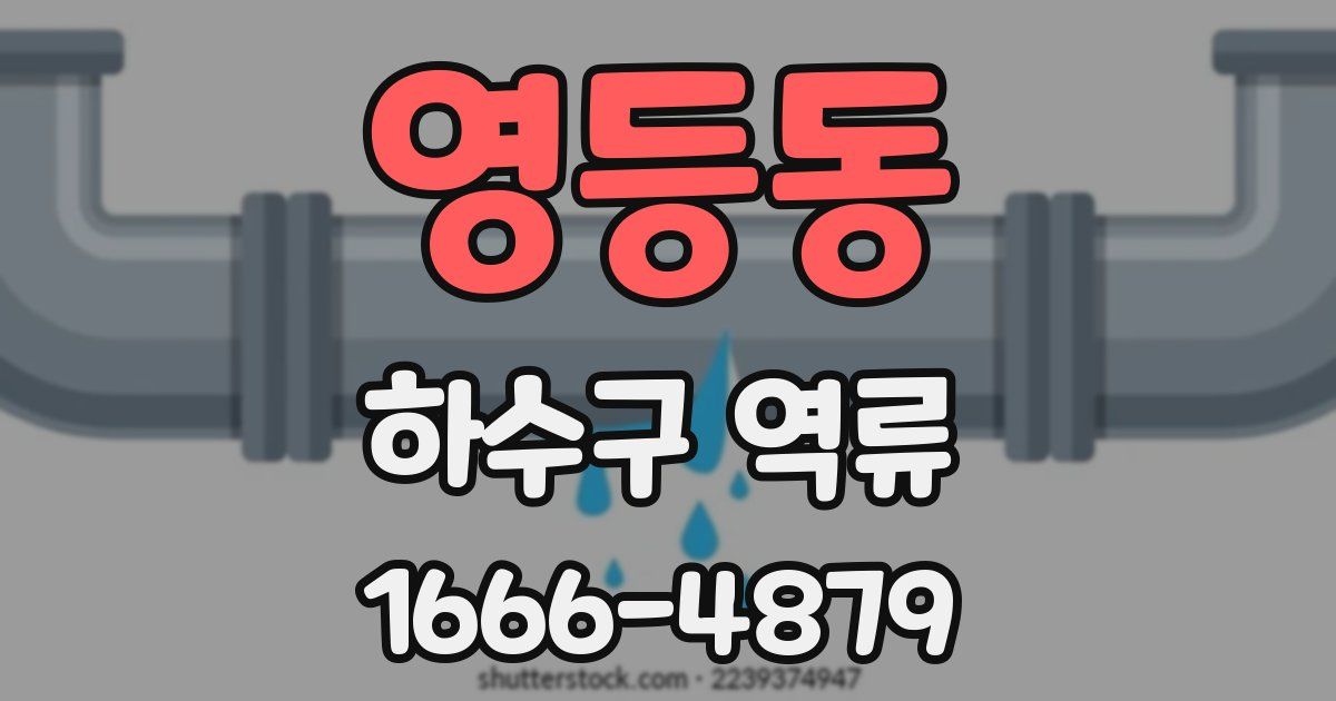 영등동 하수구 역류