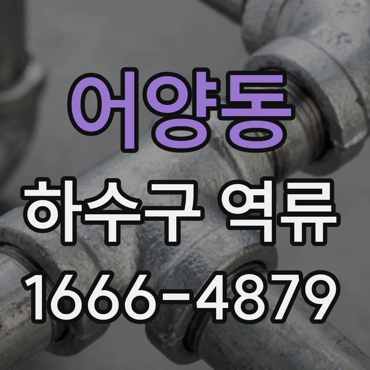 어양동 하수구 역류