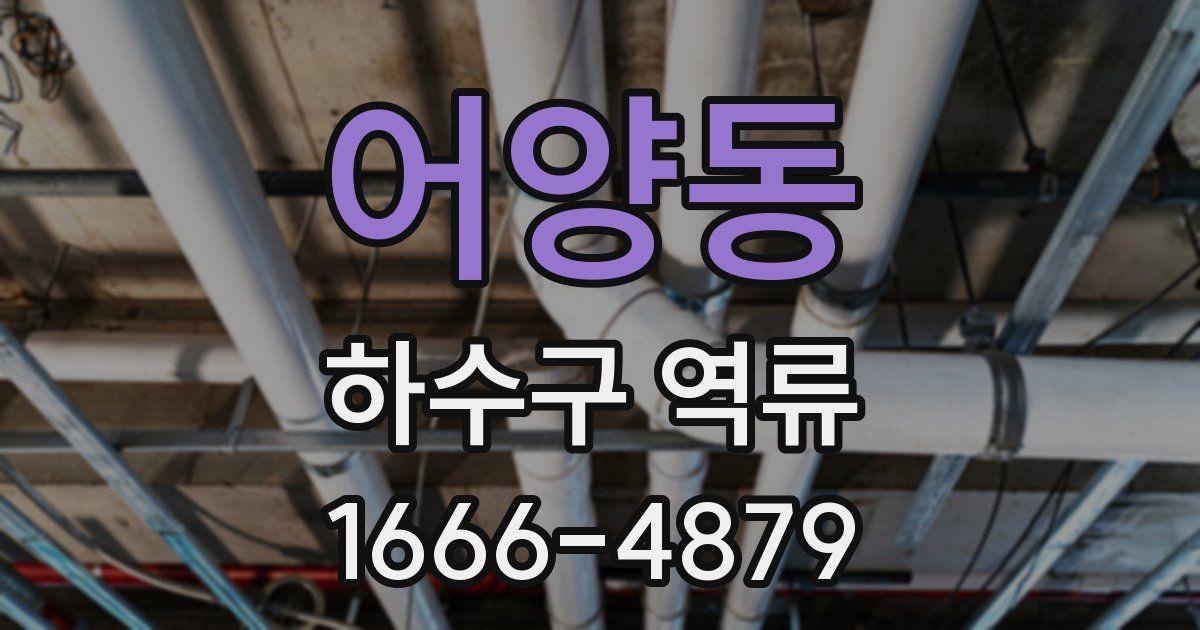 어양동 하수구 역류