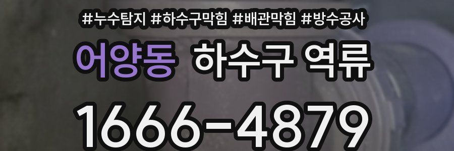 어양동 하수구 역류