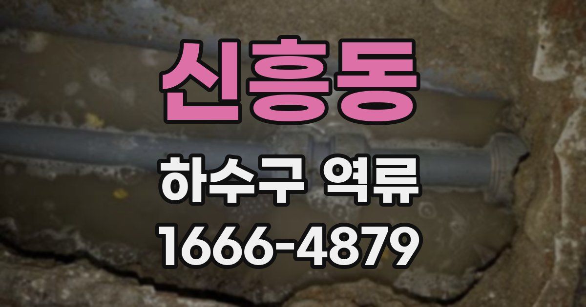 신흥동 하수구 역류