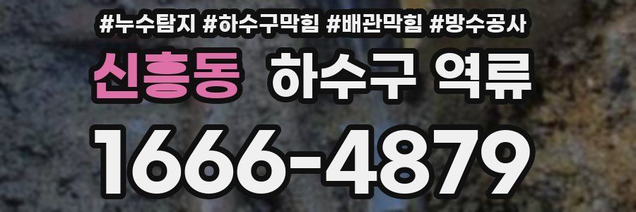 신흥동 하수구 역류