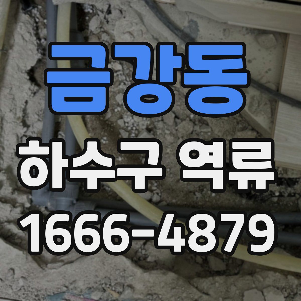 금강동 하수구 역류