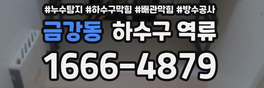 금강동 하수구 역류