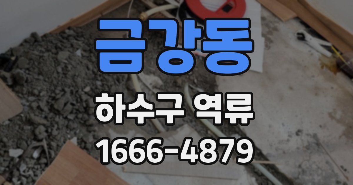 금강동 하수구 역류
