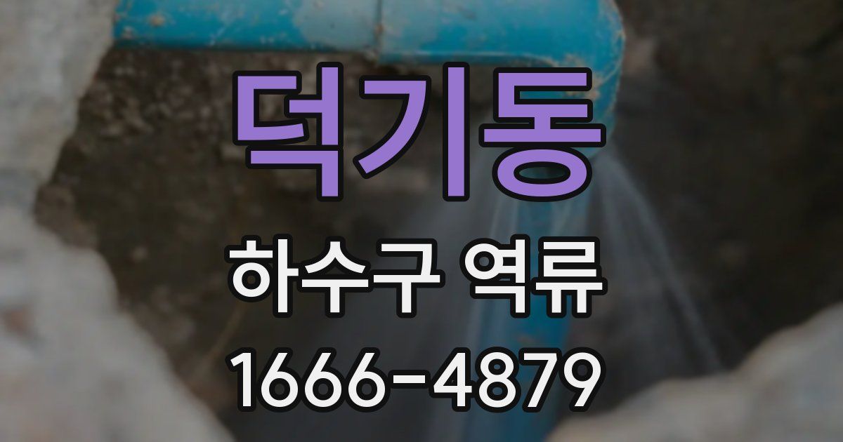 덕기동 하수구 역류