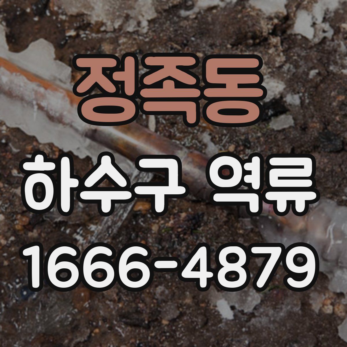 정족동 하수구 역류