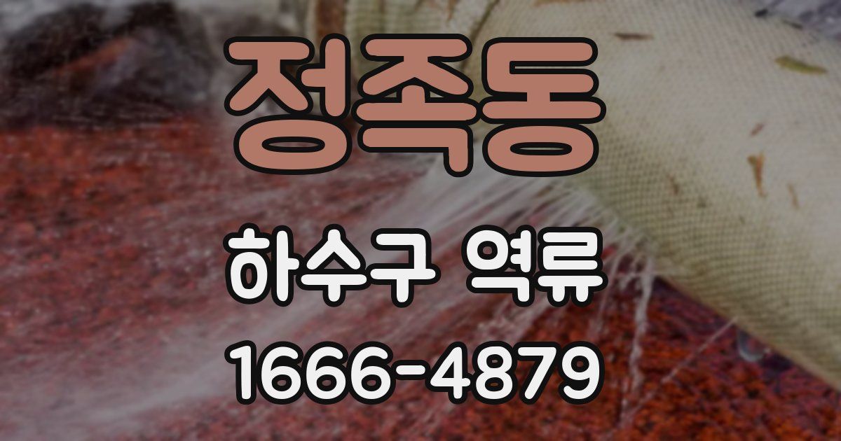 정족동 하수구 역류