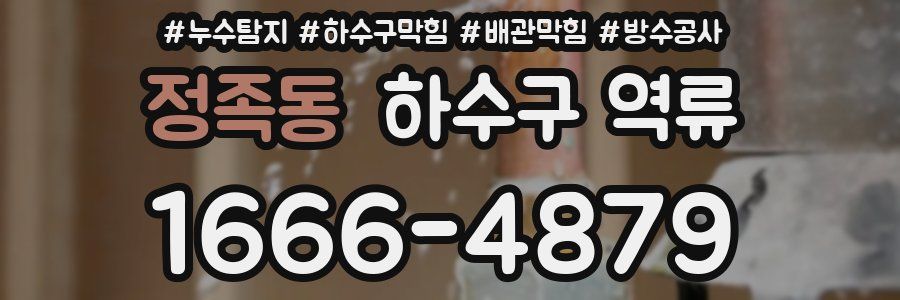 정족동 하수구 역류