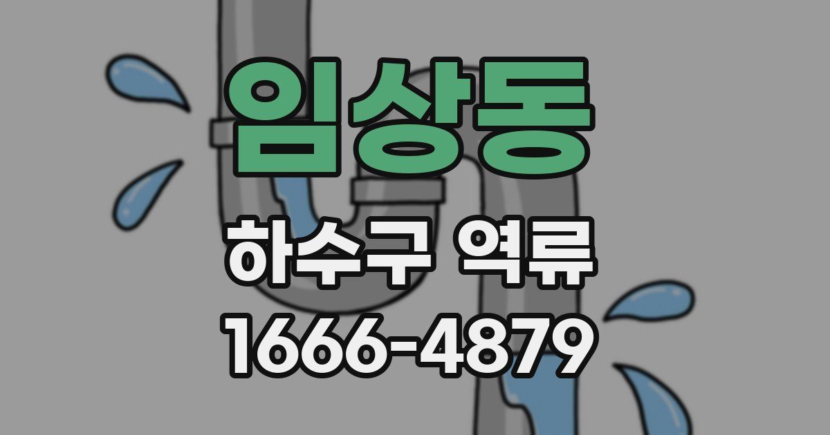임상동 하수구 역류