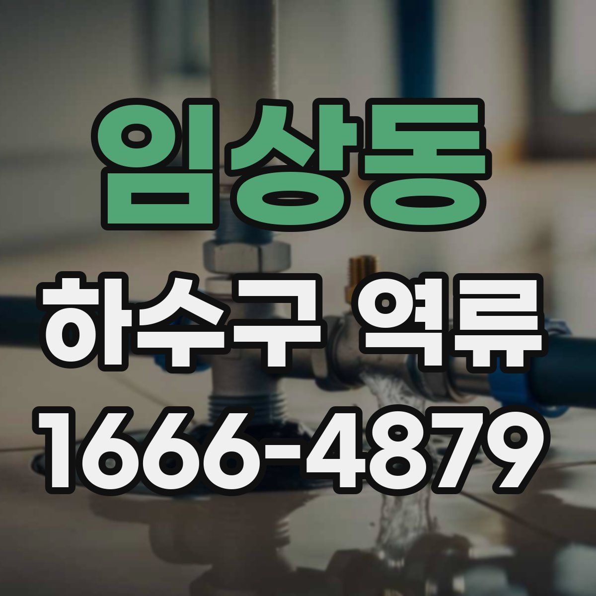 임상동 하수구 역류
