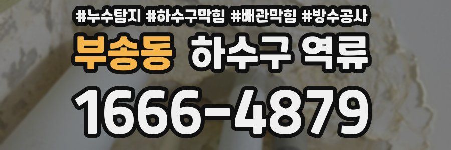 부송동 하수구 역류