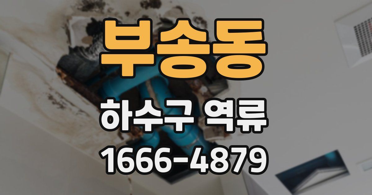 부송동 하수구 역류